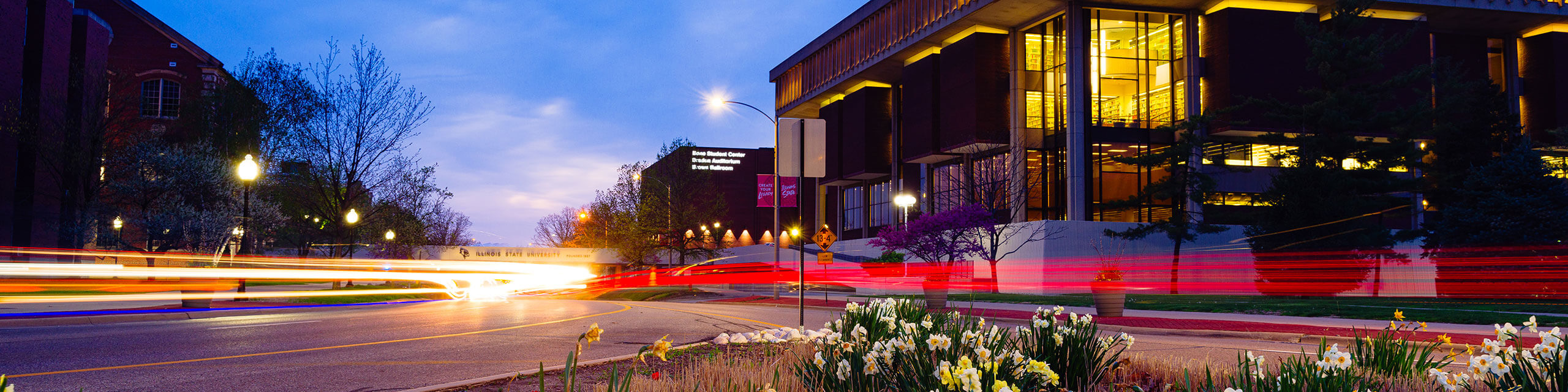 Evening view of a university campus featuring illuminated buildings, a flower bed with daffodils in the foreground, and dynamic light streaks from passing vehicles.